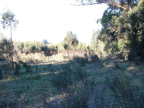 Imagen 2 de 2 de Chacra 5 Hectáreas Con Cañada