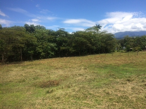 Imagen 6 de 12 de Lote Restrepo Meta Cairo Alto