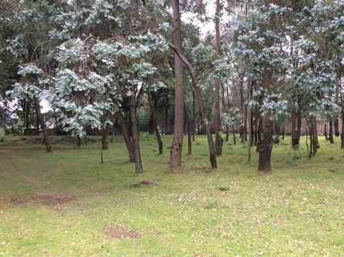 Imagen 4 de 6 de Hermoso Terreno