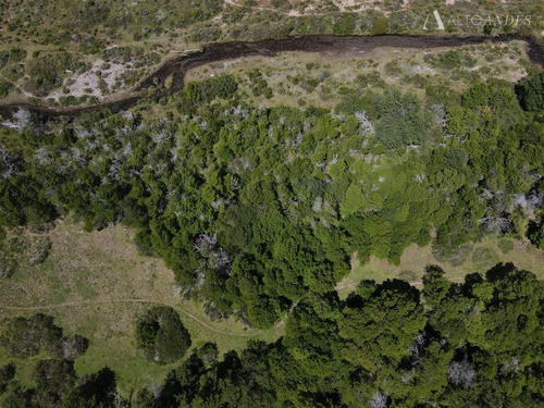 Sitio En Venta En El Avellano, Comuna De Río Ibáñez, Aysén