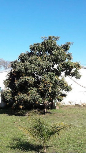 Terreno En Venta En Parque Alvear Ii