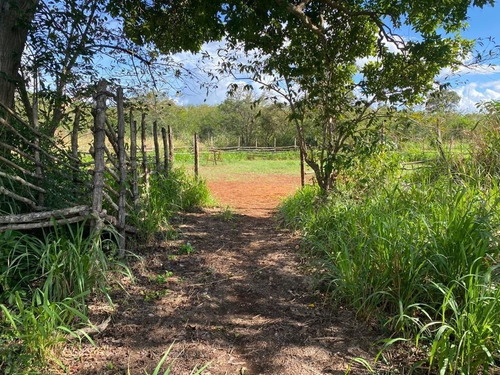 Rancho En Cantamayec 374 Hectareas Propiedad Privada