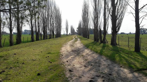 Terreno Campo  En Venta En Exaltación De La Cruz, G.b.a. Zona Norte, Argentina