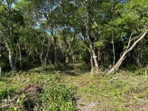 Imagem 1 de 6 de Terreno Na Praia À 900 Metros Do Mar, No Bairro Santa Cruz, Em Peruíbe, Com 307 M² De Área Total