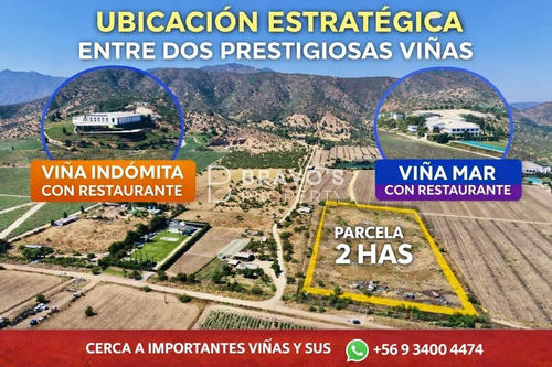 Oportunidad Venta Parcela De 2 Hás Colindante A Viña Indómit
