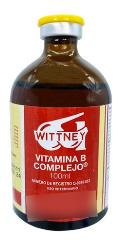 Vitamina B Complejo 100ml Wittney Envio Gratis