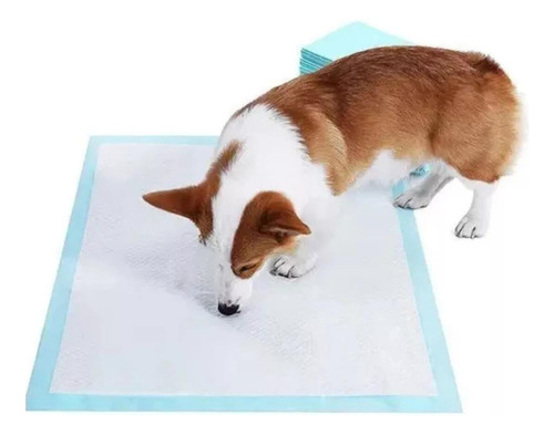 Para Sábanas Desechables Para Perros Lisa Azul 60x60 Cm 40u