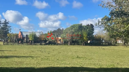 Venta - Campo De 89 Hectáreas En Maldonado