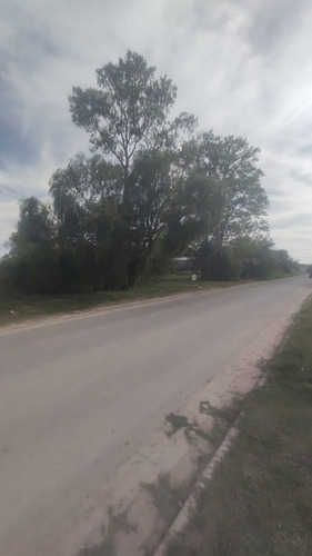 A Media Cuadra Ruta 18