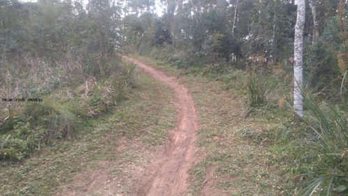 Imagem 9 de 15 de Chácara Para Venda Em Campina Grande Do Sul, Imbuial - 00292_2-1224372
