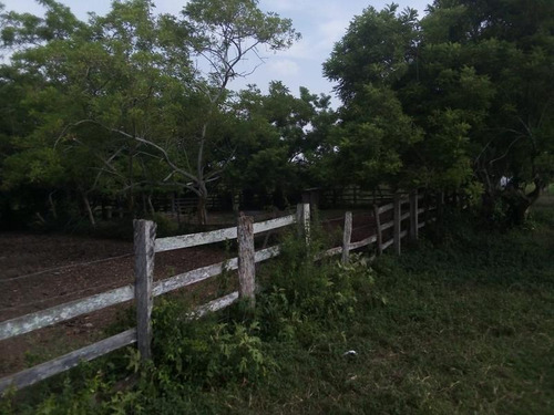 Venta Rancho Ganadero 100 Hectáreas Tamiahua Veracruz