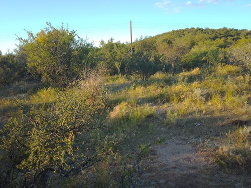 Imagen 15 de 28 de T056pa Amplios Terrenos De 1.350 M2 En Panaholma, A 300 Mts Del Río