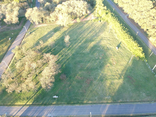 Imagen 3 de 9 de Altos De San Antonio, Lote 9 Mz E.