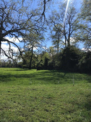 Rupanco 5.000 M2 // Exclusivo Proyecto (99135)