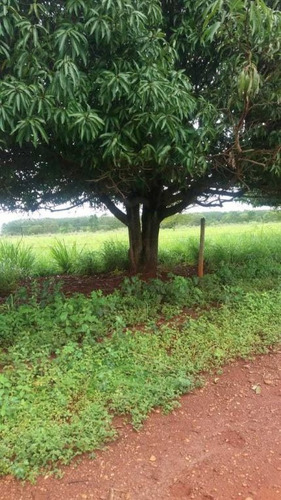 Imagem 6 de 25 de Fazenda Com 178 Hectares Rica Em Agua Em Felixlandia Mg - 36425