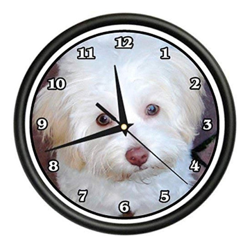 Reloj De Pared Beagle Maltipoo Perro Perrito Mascota Raza Re