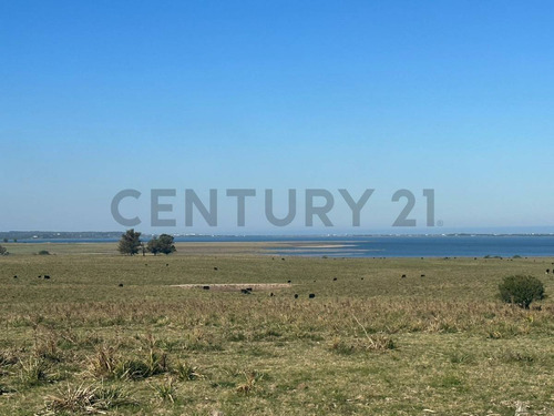 Chacra Marítima De 37 Hectáreas Con Vista A Laguna De Jose Ignacio