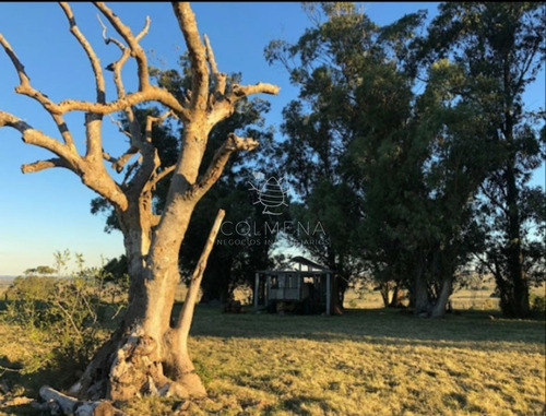 Imagen 22 de 29 de Campo En Jose Ignacio - Jose Ignacio