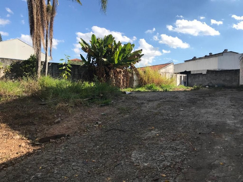 Imagem 4 de 8 de 197 -terreno No Bairro Do Butantã Para Venda 550m²
