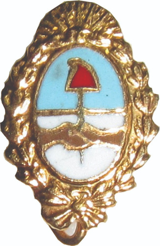 Pin Prendedor Escudo Argentino Esmaltado