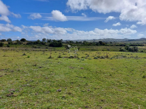 Atención Inversores!!! Campo 262 Has Pueblo Edén, Apto Para Fraccionamiento!