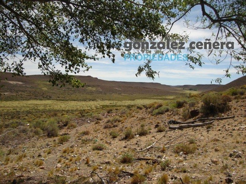 Venta Campo Ingeniero Jacobacci