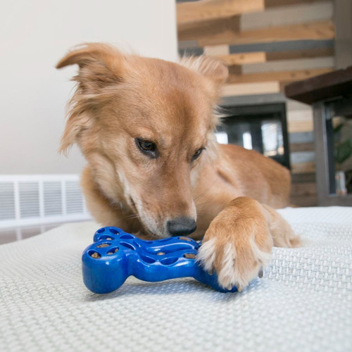 Kong Duratreat Ring Large - Juguete Para Perros Color Azul Metalico