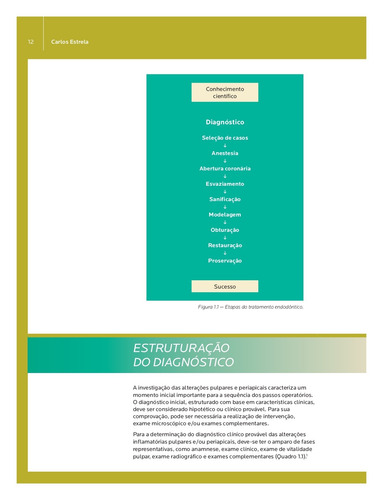 Endodontia Laboratorial e Clínica, de Estrela, Carlos. Abeno Editorial Editora Artes MÉDicas Ltda., capa mole em português, 2013