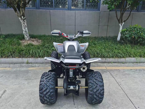 Imagen 17 de 21 de Cuatrimoto Predator 250cc Deportiva Mecanica 16hp. 0 Kl 2023