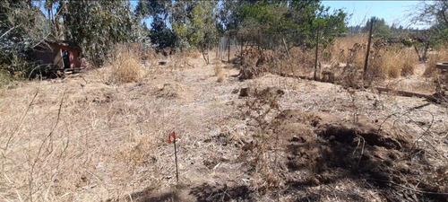 Imperdible!!! 2 Terrenos De 1,000m2 C/u, Cercanos A Concón