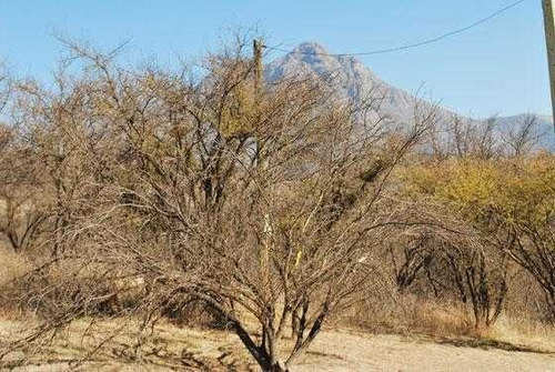Vende Parcela Reserva Ocoa, A 1, 5 Hrs De Stgo, Vista Hermos