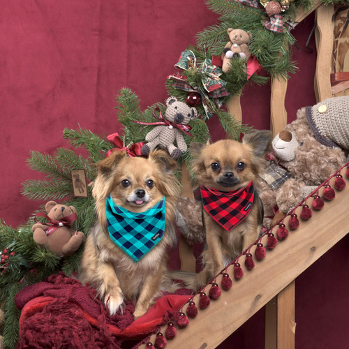 Juego De 6 Pañuelos Para Perros Gofshy Buffalo Plaid Otoño-n