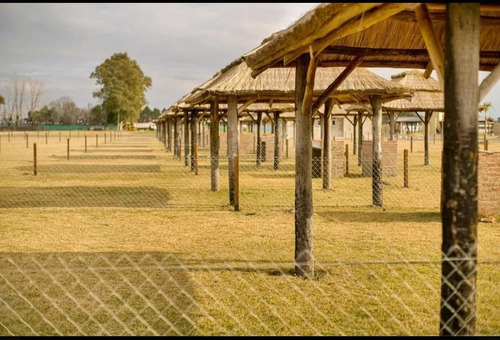 Imagen 3 de 11 de Terreno En Venta - 300mts2 - Fincas De Don Eugenio Il -gral Rodriguez - Oportunidad
