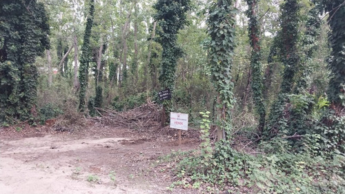Imagen 2 de 4 de Lote Con Buena Ubicación, Y Abundante Forestación En Mar Azul.
