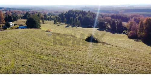 Terrenos 5.000 M² Cerca De Corralco, Curacautín.