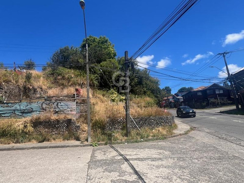 Venta De Sitio Comercial/ Trigal Con Crucero/puerto Montt