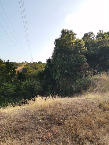 Parcela En Venta En Bosque De Mantagua Concon