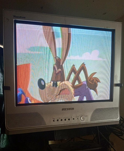Imagen 1 de 4 de Televisor Samsumg 21 Con Base Y Control