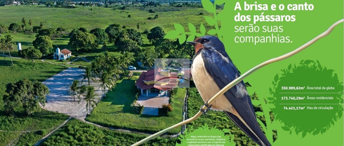 Imagem 4 de 26 de Majuí Condomínio Parque, Próximo Lançamento