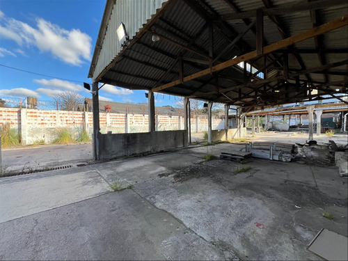 Venta Local De 5650m2 En Maroñas