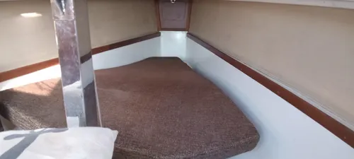 Mastracchio 24.5 Modelo 2015 Quillote Izable