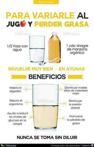 Vinagre De Manzana Orgánico