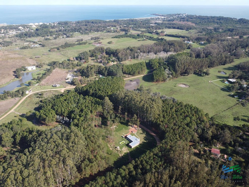 Imagen 5 de 11 de Vendo Terreno De 1 Hectárea Tipo Chacra En Laguna Del Diario, Punta Del Este