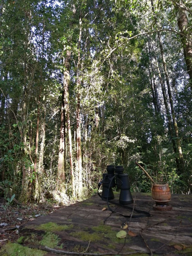Parcela En Venta En Puerto Varas