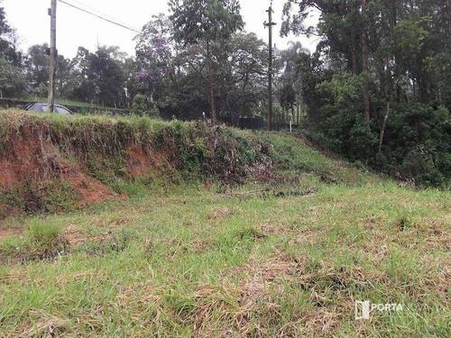 Terreno À Venda, 2501 M² Por R$ 250.000 - Chácara Recanto Verde - Cotia/sp - Te0255