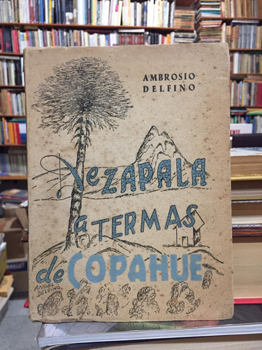 De Zapala A Termas De Copahue Por Tierra Neuquina A Delfino