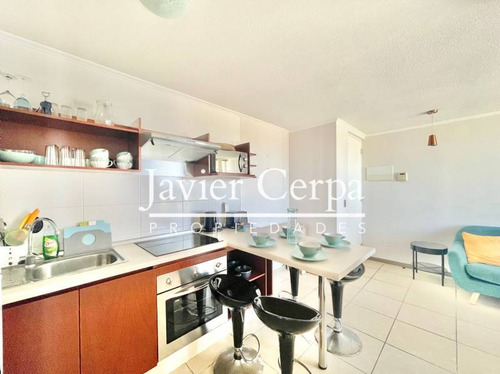 Arriendo De Marzo A Diciembre Depto Amoblado Segunda Línea