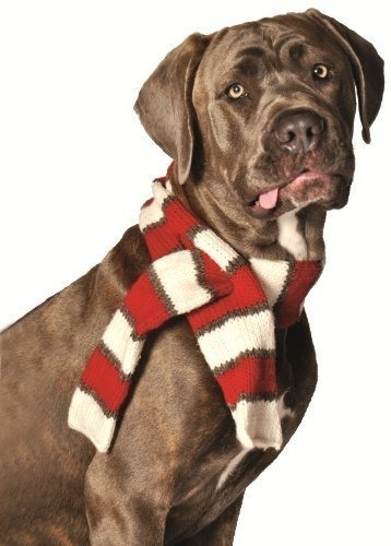 Chilly Dog Whitered Pet Scarf Medium