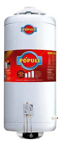 Termotanque A Gas Natural Ecotermo Populi 70lts C/sup