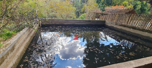 Imagem 8 de 15 de Chácara Para Venda Em Itatiaiuçu - 70523_2-1233756
